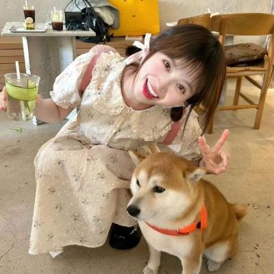 九尾妖狐之血泪