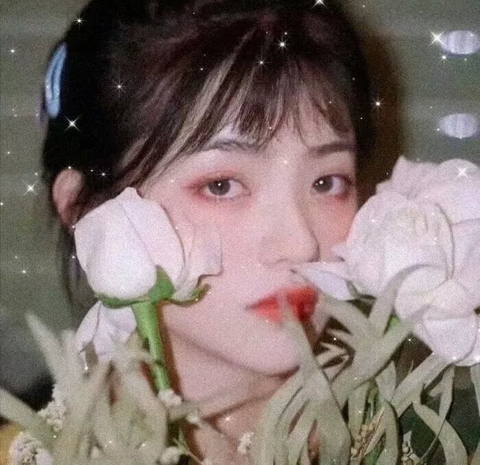 花水木